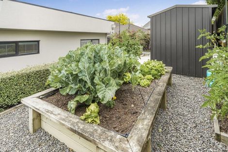 Photo of property in 6 Munro Place, Flagstaff, Hamilton, 3210