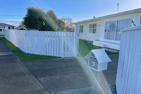 Photo of property in 3 Charles Corner Crescent, Maraenui, Napier, 4110