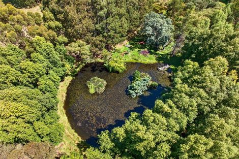 Photo of property in 869 Norfolk Road, Upper Plain, Carterton, 5791