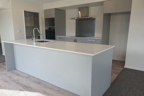 Photo of property in 41 Collisson Street, Leeston, 7632