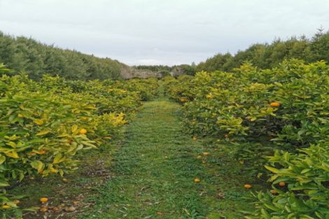 Photo of property in 303 Matua Road, Kumeu, 0891