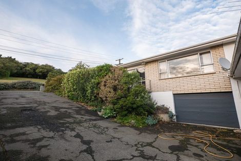 Photo of property in 29 Jeffery Street, Andersons Bay, Dunedin, 9013