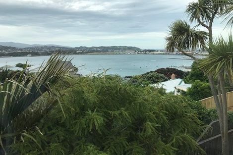 Photo of property in 37 Matai Road, Hataitai, Wellington, 6021