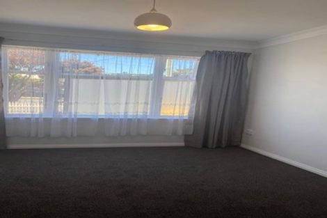Photo of property in 47 Kauri Street, Miramar, Wellington, 6022