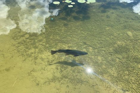 Photo of property in 6 Old Glen Lyon Road, Twizel, 7999