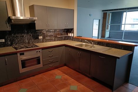 Photo of property in The Lofts, 11/185 Victoria Street, Te Aro, Wellington, 6011