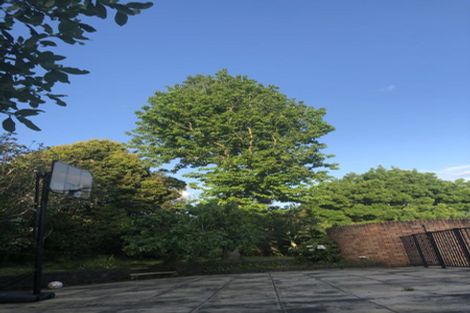 Photo of property in 97 Polo Prince Drive, Totara Park, Manurewa, 2576