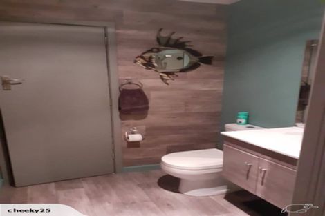 Photo of property in 5 Gee Street, Renwick, 7204