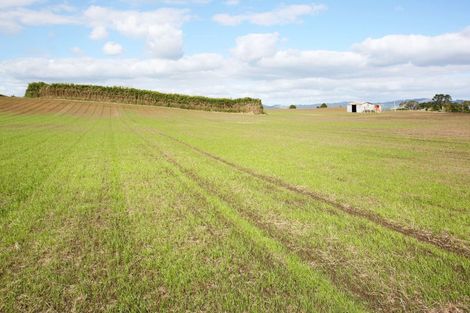 Photo of property in 142 Hutchings Road, Waiuku, 2682