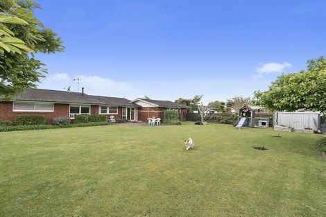 Photo of property in 3 Edwin Street, St Andrews, Hamilton, 3200