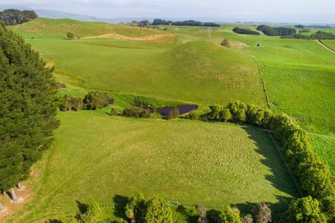 Photo of property in 484 Finnis Road, Pohangina, Feilding, 4775