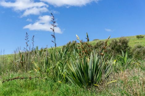 Photo of property in 32 Toots Drive, Kawakawa, 0282