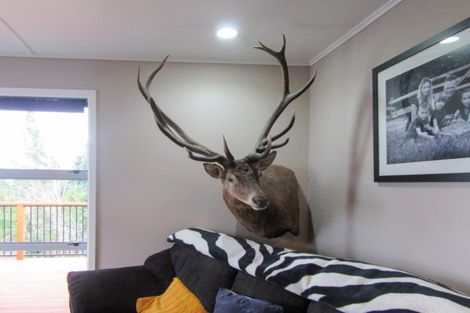 Photo of property in 26 Argyll Street, Mangapapa, Gisborne, 4010