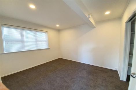 Photo of property in 84 Lloyd Avenue, Mount Albert, Auckland, 1025