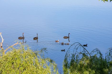 Photo of property in 34 Manu Drive, Kaiwaka, 0573