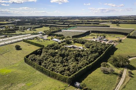 Photo of property in 55c Taupata Street, Paengaroa, 3189