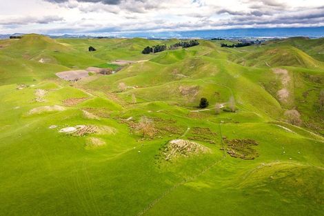 Photo of property in 210 Ongaonga Road, Waipawa, 4272