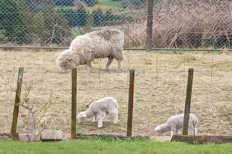 Photo of property in 6534 Matawai Road, Matawai, 4075