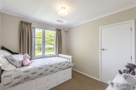 Photo of property in 485 Poplar Road, Opiki, Palmerston North, 4474