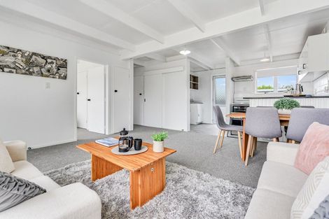 Photo of property in 172a Maeroa Road, Maeroa, Hamilton, 3200