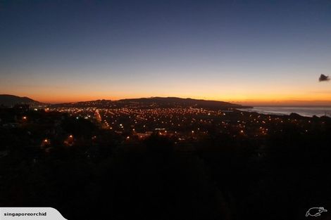 Photo of property in 32 Ravenswood Road, Saint Clair, Dunedin, 9012