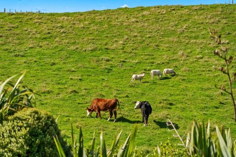 Photo of property in 1770b Ponga Road, Hunua, 2584