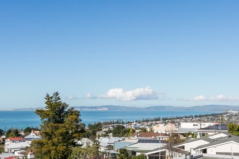Photo of property in 1b Lincoln Road, Bluff Hill, Napier, 4110
