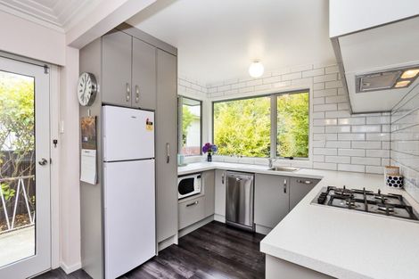 Photo of property in 223 Mary Street, Richmond, Invercargill, 9810