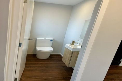 Photo of property in 21a Ferguson Street, Levin, 5510