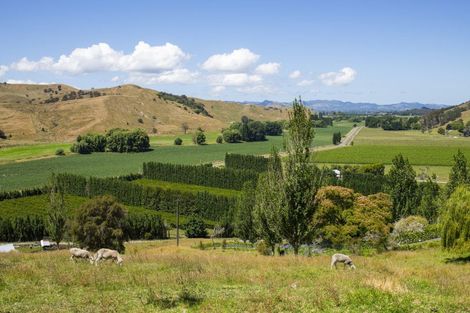 Photo of property in 909a Wharekopae Road, Ngatapa, Gisborne, 4072