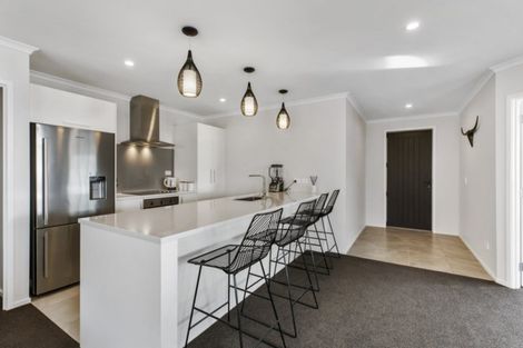 Photo of property in 64 Hillpark Drive, Pokeno, 2402