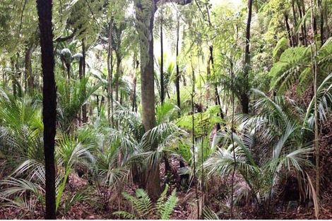 Photo of property in 19 Waikarekare Lane, Karekare, Auckland, 0772