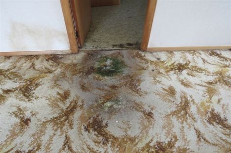 Photo of property in 37 Graham Street, Levin, 5510