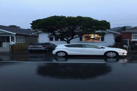 Photo of property in 253 Rintoul Street, Berhampore, Wellington, 6023