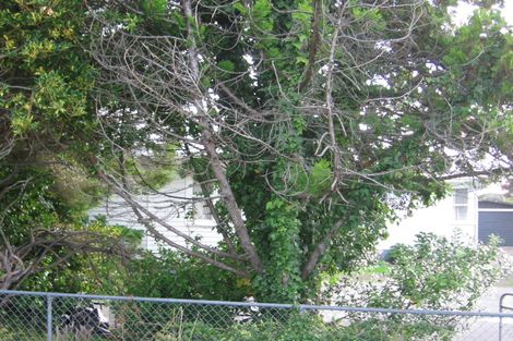 Photo of property in 46 Lincoln Road, Henderson, Auckland, 0610