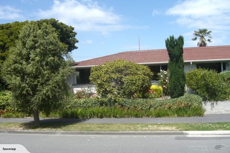 Photo of property in 17 Avonhead Road, Avonhead, Christchurch, 8042