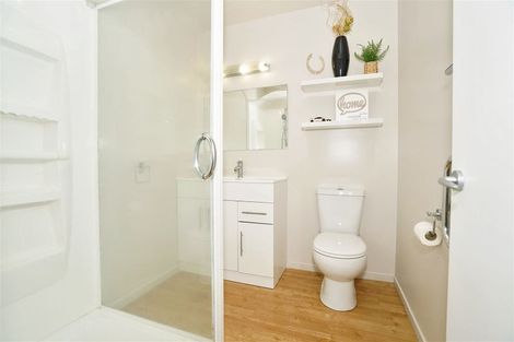 Photo of property in 21c Lyon Street, Frankton, Hamilton, 3204