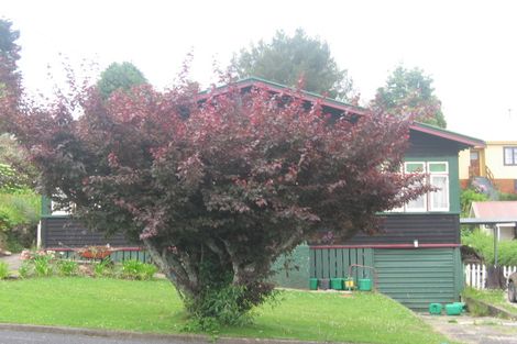 Photo of property in 12 Ailsa Street, Te Kuiti, 3910