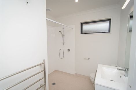 Photo of property in 24a Millpond Lane, Lincoln, 7608