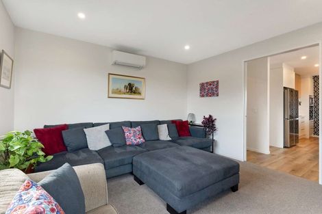 Photo of property in 20 Pelham Place, Lincoln, 7608