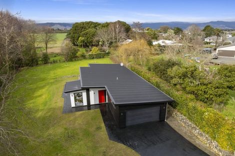 Photo of property in 112 Kawiu Road, Levin, 5510