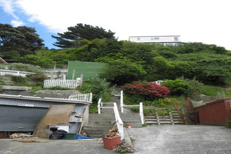 Photo of property in 19 Balfour Street, Mornington, Wellington, 6021