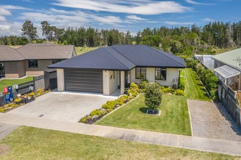 Photo of property in 13 Sandown Avenue, Himatangi Beach, Foxton, 4891