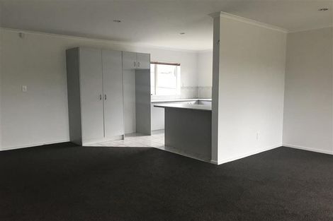 Photo of property in 117 Palmers Road, Clendon Park, Auckland, 2103