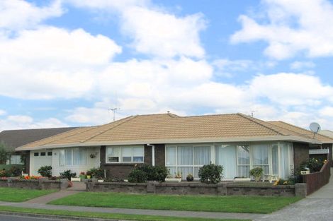 Photo of property in 44b Bayfair Drive, Mount Maunganui, 3116