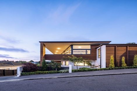 Photo of property in 18 Selkirk Street, Roslyn, Dunedin, 9010