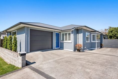 Photo of property in 36 Lincoln Avenue, Epuni, Lower Hutt, 5011