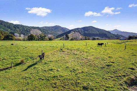Photo of property in 253 Ronga Valley, Rai Valley, 7194