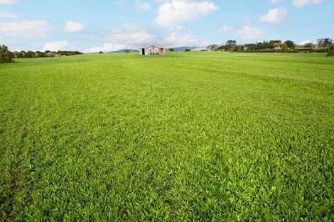 Photo of property in 142 Hutchings Road, Waiuku, 2682