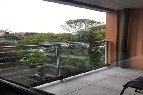 Photo of property in 502/10 Lion Place, Epsom, Auckland, 1023
